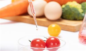 2024年婚介效劳行业将来开展趋向及红利形式猜测阐发,(加盟那个行业好)(图5)